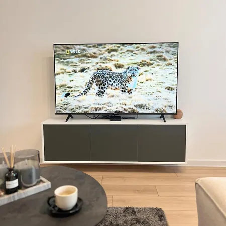 Comfort Modern